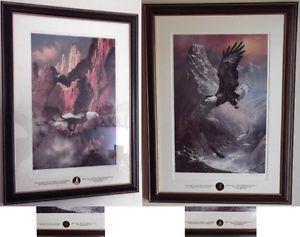 Soaring Alaskan Bald Eagle Limited Prints