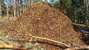 Wood Chips, chipped and shredded wood mulch