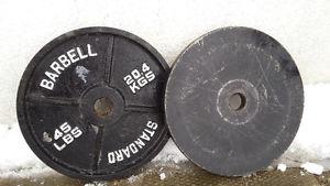 45lb Olympic Plate x2