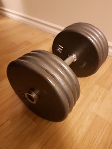 80lb Fixed Plate Style Dumbbell