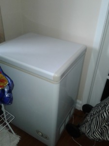 Apartment size freezer