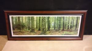 Framed Panorama forest picture