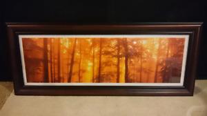 Framed forest picture
