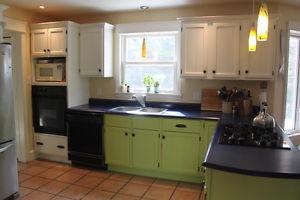 Kitchen Cabinets and countertop