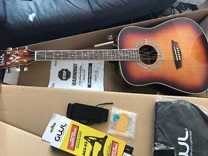 New Washburn Acoustic Guitar Kit