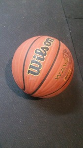 Wilson Basketball