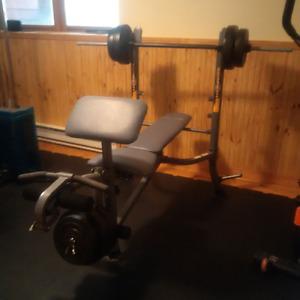 Bench and weights