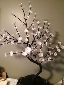Cherry blossom light up tree