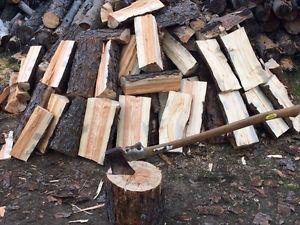 Dry Pine Firewood