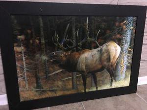 Elk framed picture