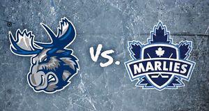 Moose vs Marlies 4 Tickets Tuesday March 14 Save $50