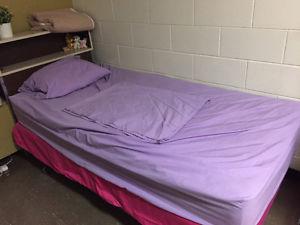 Purple color Bed sheet Set