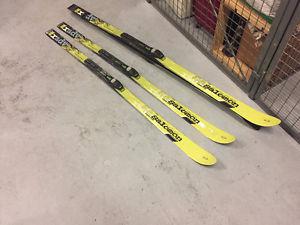 Salomon Back Country/Nordic Skis (2 pairs)