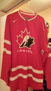 Hockey Jerseys (Team Canada and Ottawa Senators)