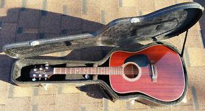 Takamine EF349 Mahogany Acoustic Guitar