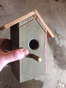 Cedar bird house