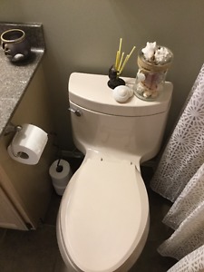 Comfort height toilet