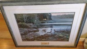 Framed Picture (Reduced Price)