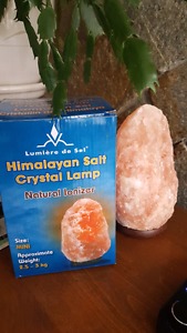 Himalayan salt lamp Mini