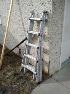 Multiple function ladder