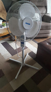 Oscillating Fan