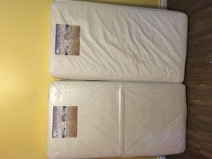 Sealy Crib mattress