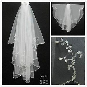 Dreammy Wedding Veil - Very beautifull details all around!