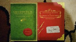 Fantastic beasts and where to find them, Quidditch through