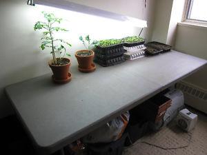 Fold-able Plastic 6foot table