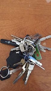 Found keys