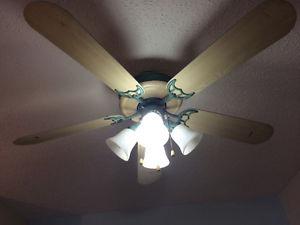 Large Fan and matching light