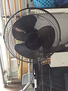 Oscillating fan