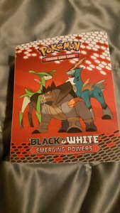 Pokemon Booklet with 58 Cards