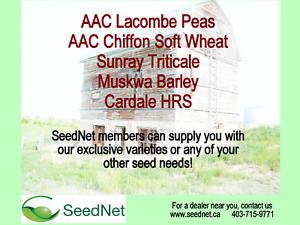 Seed for Sale - all kinds
