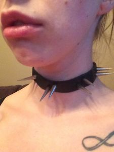 Wanted: Leather Spiked Collar