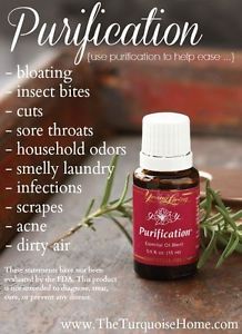 Young Living Purification Oil Blend