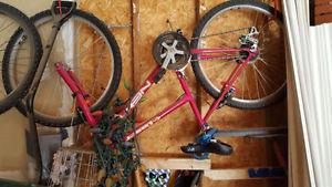 24 '' NEXT HPS LASER MOUNTAIN BIKE