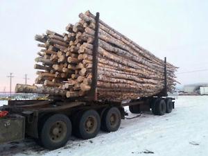 Loads of logs for sale