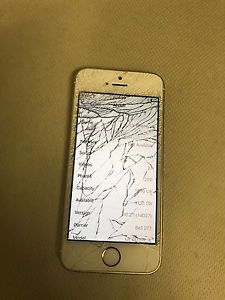 Wanted: iPhone 5se