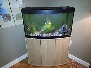 45 gallon fish tank with filtration system and fish.