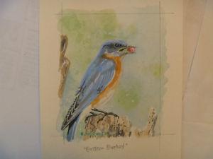 EASTERN BLUEBIRD Original Artwork (4" x 5")