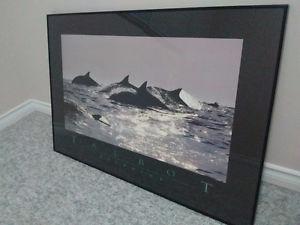 Framed Talbot Whales Print