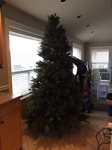 Free 8' Christmas tree