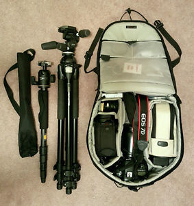 Lowepro Camera Bag (Backpack)
