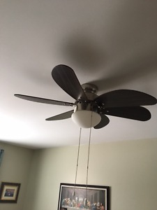 New Ceiling fan