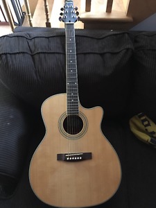 Segovia 6 String acoustic with Pickup