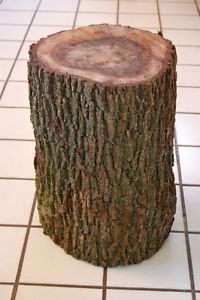 Wanted: Wanted: 2 TREE STUMPS