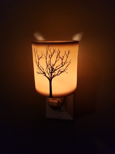 Scentsy Warmers