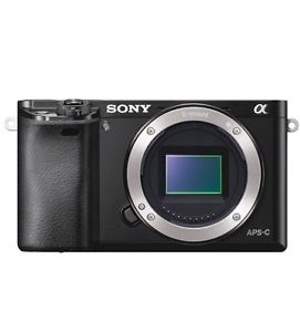 Wanted: WTB Sony A Mirrorless Camera