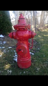 Wanted: Wanted old fire hydrant